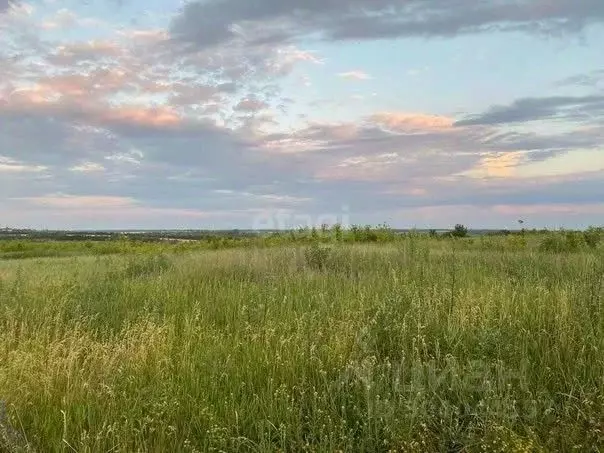 участок в алтайский край, барнаул городской округ, пос. черницк ул. . - Фото 1