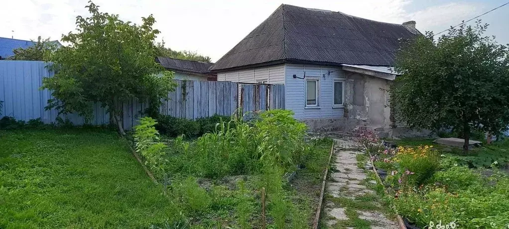 Дом в Брянская область, Фокино ул. Чапаева, 24 (44 м) - Фото 0