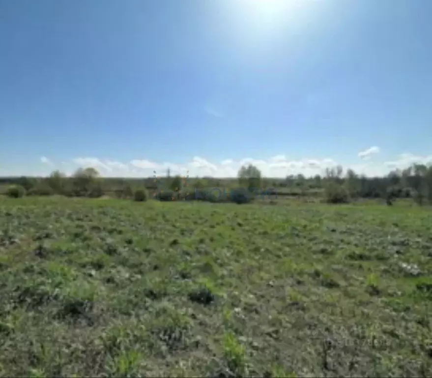 Участок в Нижегородская область, Сокольский городской округ, д. ... - Фото 0