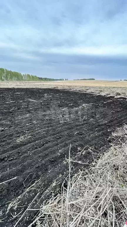 Участок 8,6 сот. (ИЖС) - Фото 0
