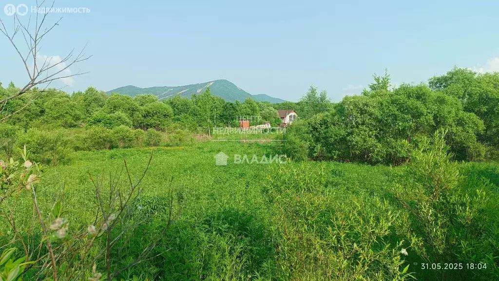 Участок в Арсеньев, Тихоокеанская улица, 47 (12 м) - Фото 1