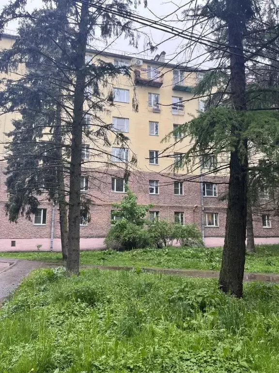 1-к кв. Санкт-Петербург пос. Шушары, Ленсоветовский тер., 15 (39.0 м) - Фото 0
