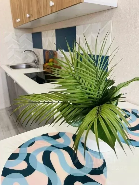 1-к кв. Санкт-Петербург ул. Плесецкая, 10 (27.0 м) - Фото 1