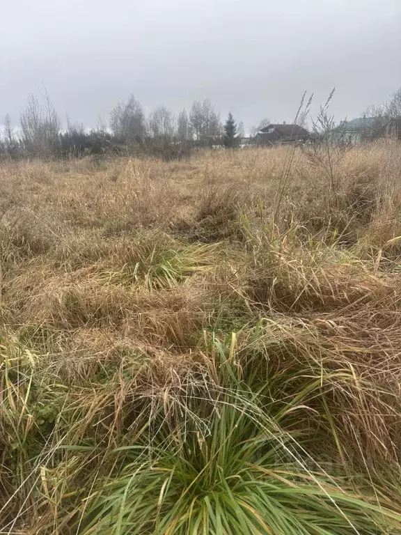Участок в Ленинградская область, Тосненское городское поселение, д. ... - Фото 2