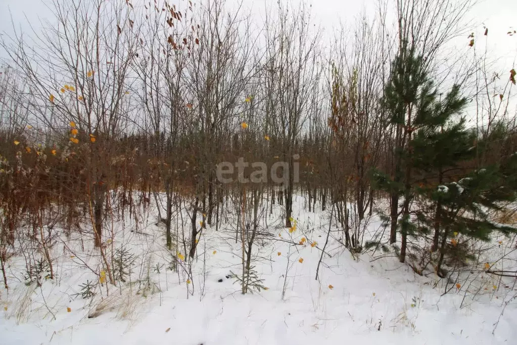 Участок в Свердловская область, Горноуральский городской округ, с. ... - Фото 0