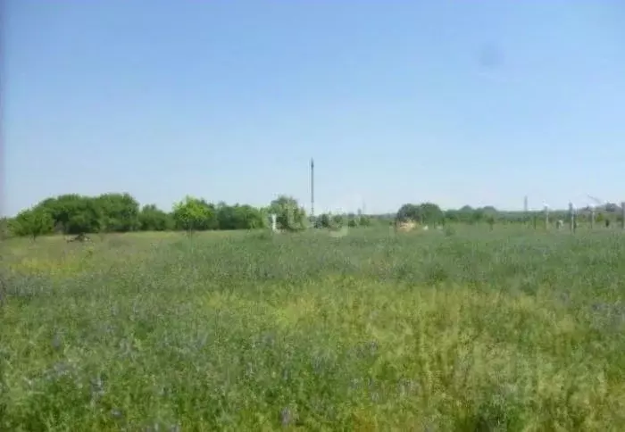 Участок в Воронежская область, Семилукский район, с. Девица ул. ... - Фото 1