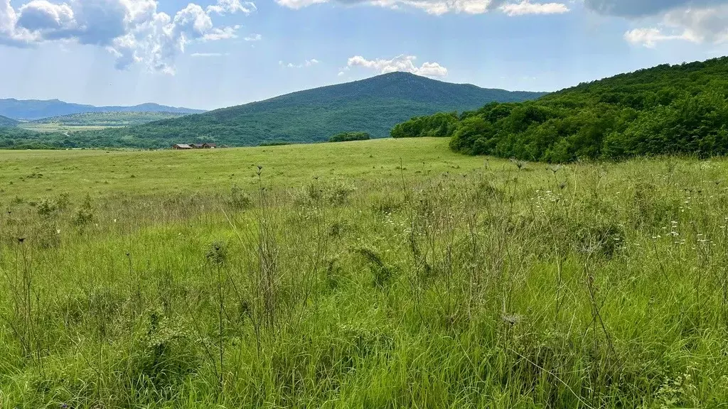Участок в Севастополь Балаклавский р-н, Орлиновский муниципальный ... - Фото 1