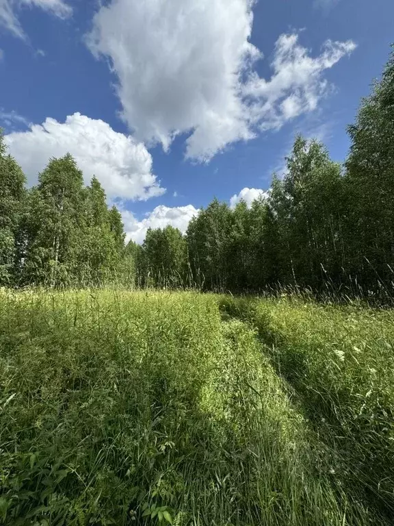 Участок в Вологодская область, Череповецкий район, Югское ... - Фото 0