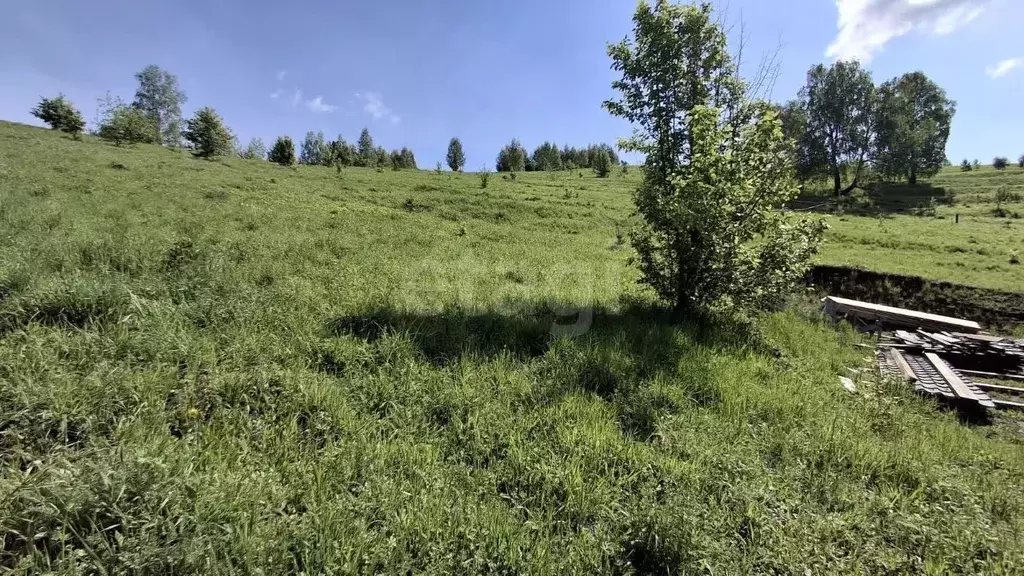 Участок в Алтай, Майминский район, с. Кызыл-Озек пер. Горный (11.02 ... - Фото 1