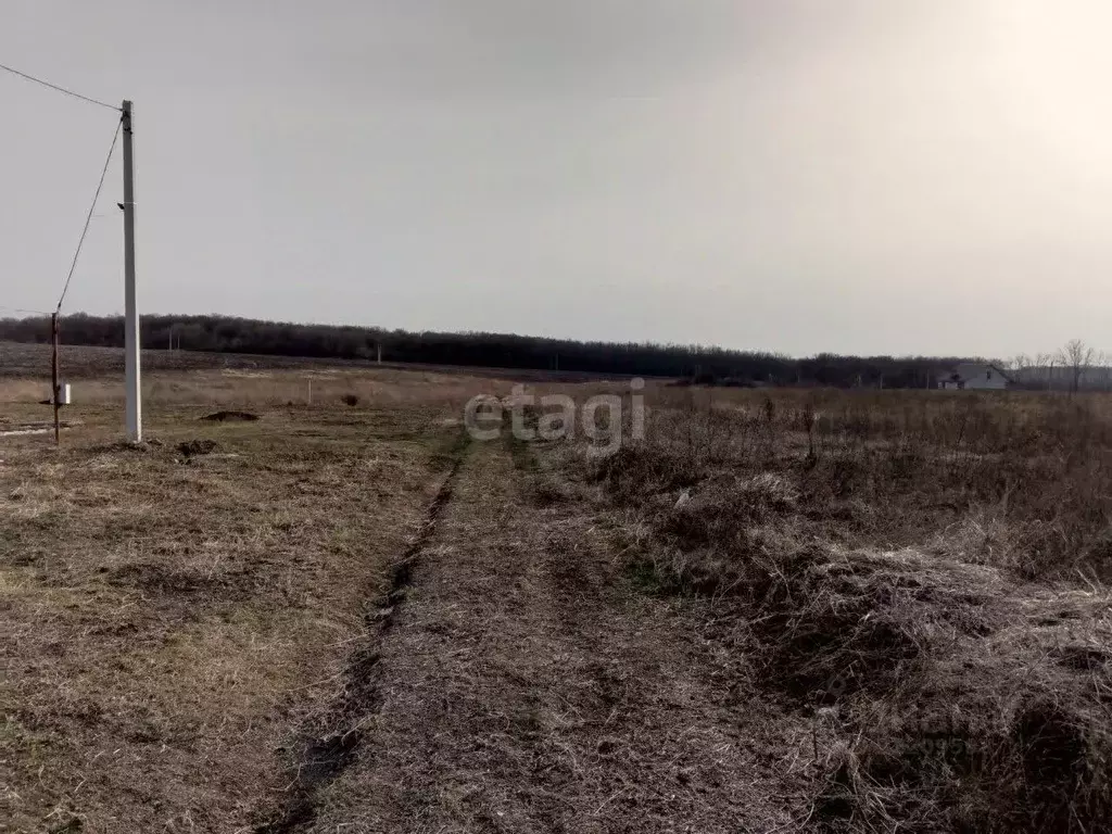 Участок в Белгородская область, Губкин Северо-Западный мкр,  (15.0 ... - Фото 1