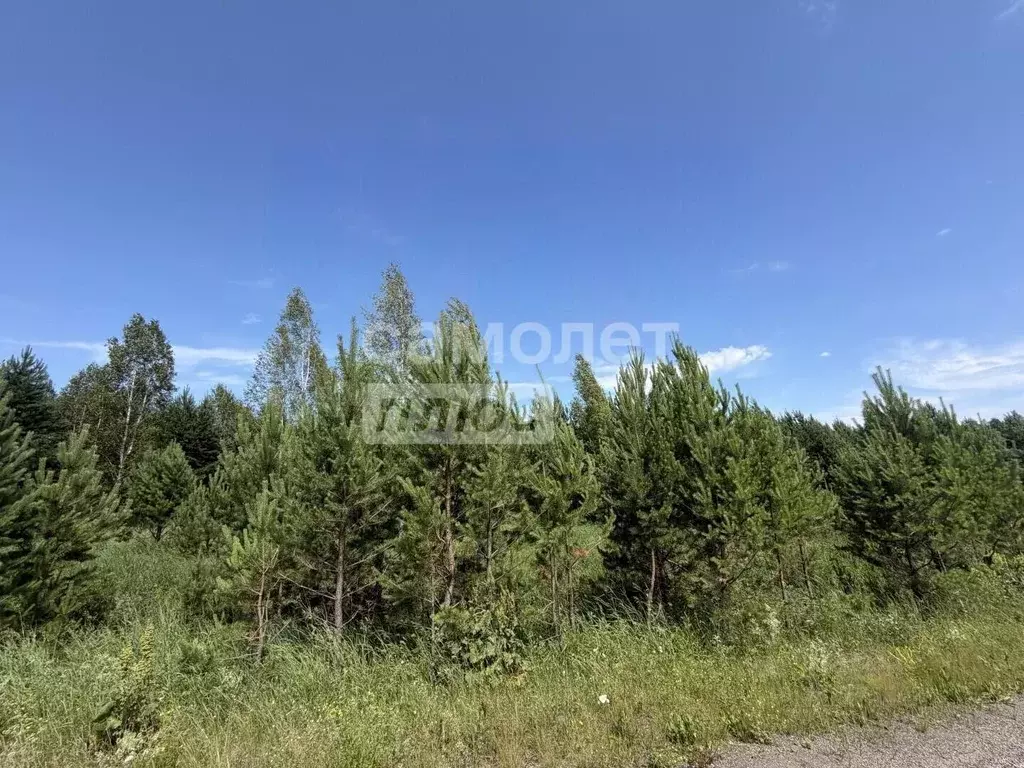 Участок в Челябинская область, Каслинский муниципальный округ, с. ... - Фото 1