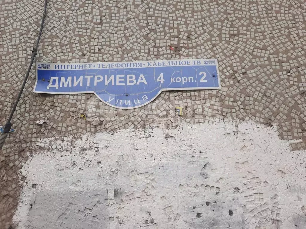 1-к кв. Омская область, Омск ул. Дмитриева, 4к2 (30.0 м) - Фото 1