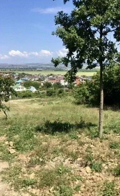 Участок в Краснодарский край, Анапа муниципальный округ, с. Супсех ул. ... - Фото 2