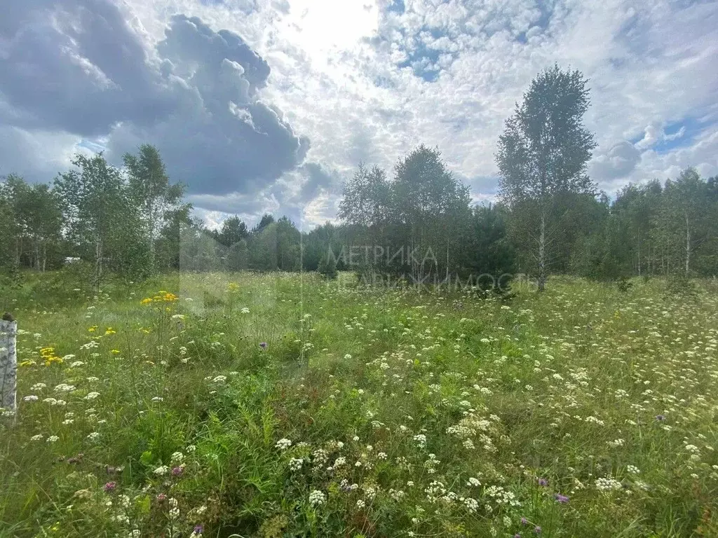 Участок в Тюменская область, Нижнетавдинский муниципальный округ, д. ... - Фото 1
