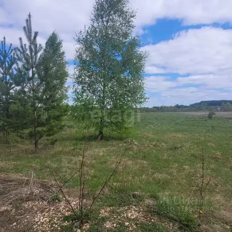 Участок в Владимирская область, Муром д. Коржавино,  (14.47 сот.) - Фото 2