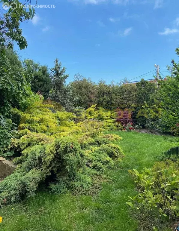 Дом в посёлок Веселовка, Босфорская улица (450 м) - Фото 1