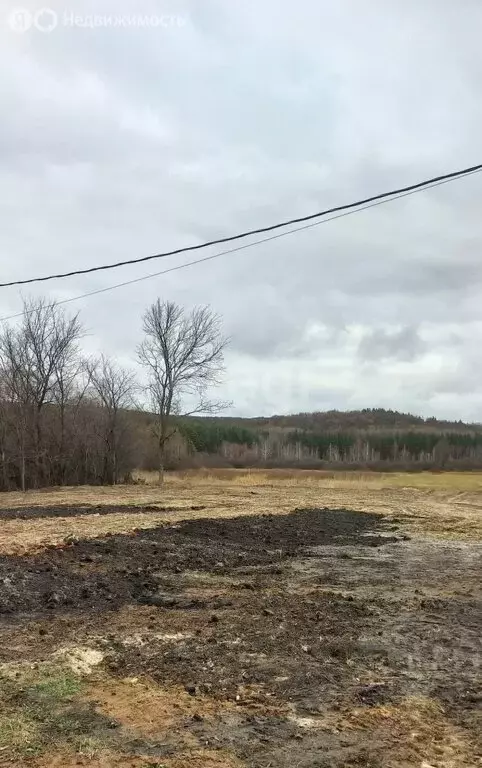 Участок в Тамбовский муниципальный округ, село Козьмодемьяновка ... - Фото 1