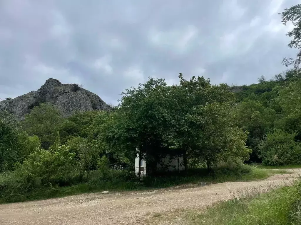 Участок в Крым, Феодосия муниципальный округ, Щебетовка пгт  (10.0 ... - Фото 1