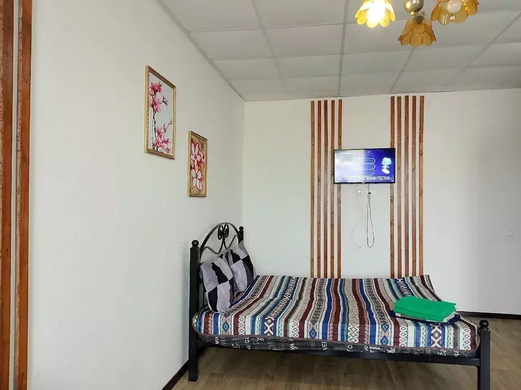 Студия Ульяновская область, Ульяновск Камышинская ул., 88 (25.0 м) - Фото 1