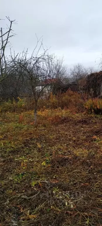 Дом в Тамбовская область, Тамбов Ромашка СНТ, 6 (15 м) - Фото 2