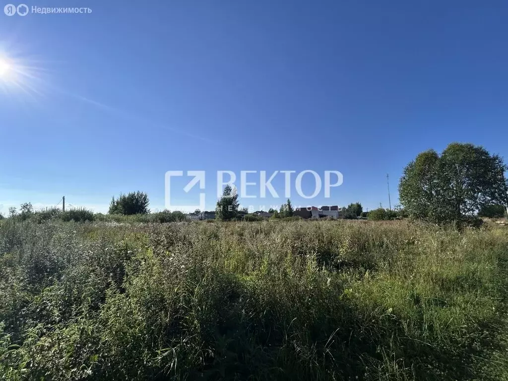 Участок в Костромской район, Шунгенское сельское поселение, деревня ... - Фото 1