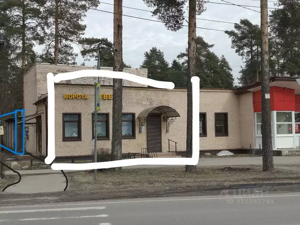 Помещение свободного назначения в Санкт-Петербург пос. Песочный, 1-й ... - Фото 0