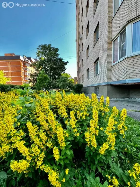 3-комнатная квартира: Красногорск, Благовещенская улица, 12 (85 м) - Фото 0