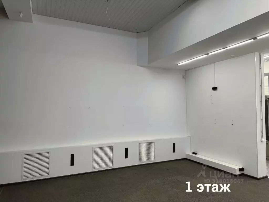 Помещение свободного назначения в Санкт-Петербург Дивенская ул., 5 ... - Фото 0