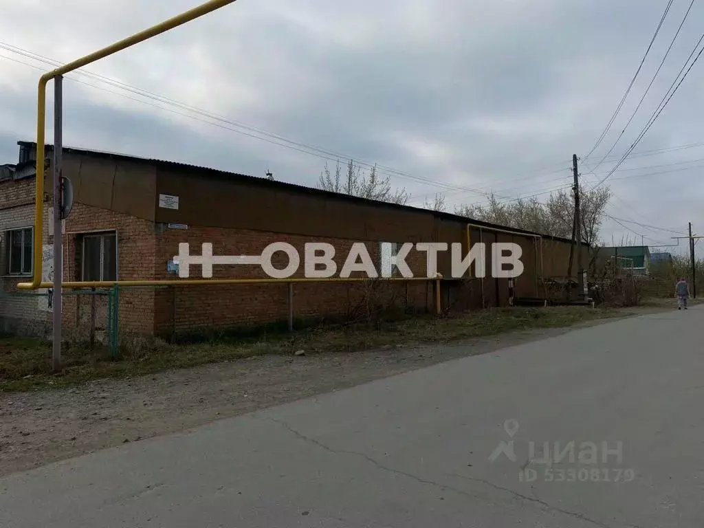 Помещение свободного назначения в Новосибирская область, Новосибирский ... - Фото 1