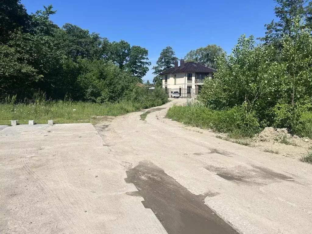 Участок в Калининградская область, Калининград ул. Сержанта Мишина, ... - Фото 0