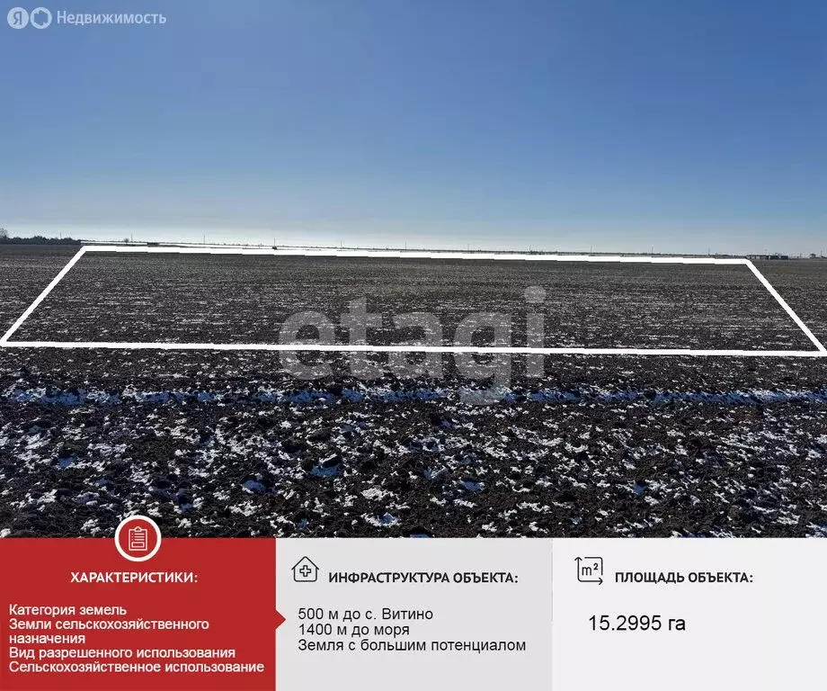 Участок в Сакский район, Молочненское сельское поселение, село Витино ... - Фото 2