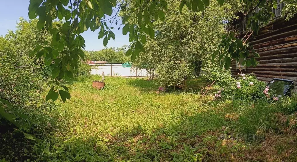 Дом в Рязанская область, Рязань 4-й Аллейный проезд (70 м) - Фото 2