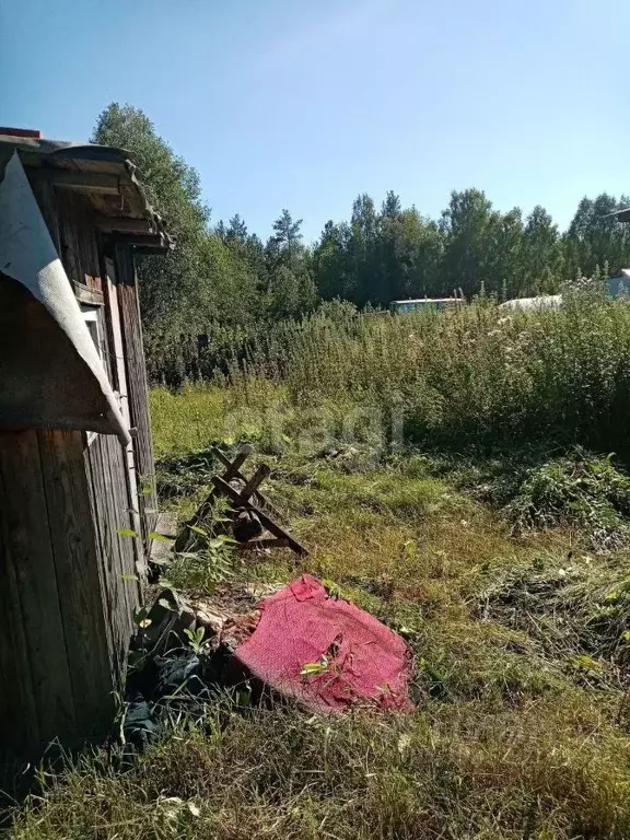 Дом в Свердловская область, Тугулымский городской округ, д. Луговая ... - Фото 1