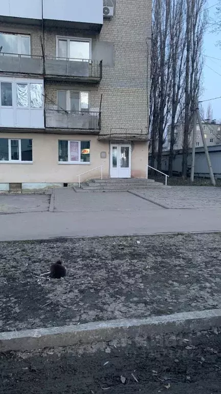 Помещение свободного назначения в Саратовская область, Петровский ... - Фото 2