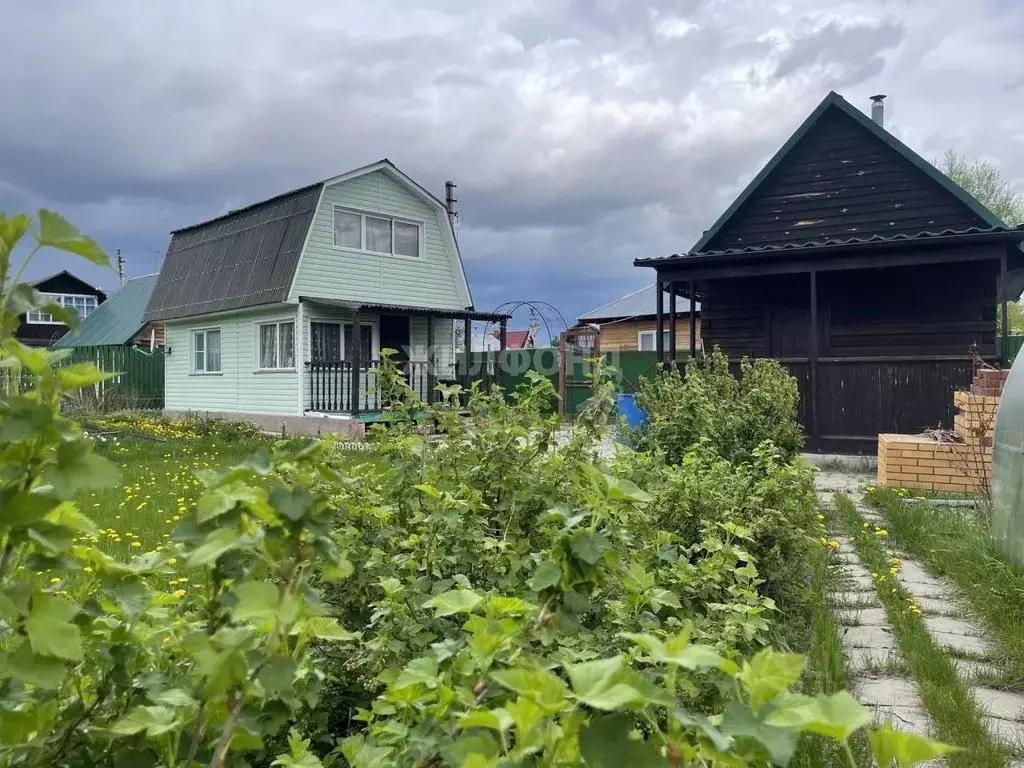 Дом в Новосибирская область, Новосибирский район, Кубовинский ... - Фото 0