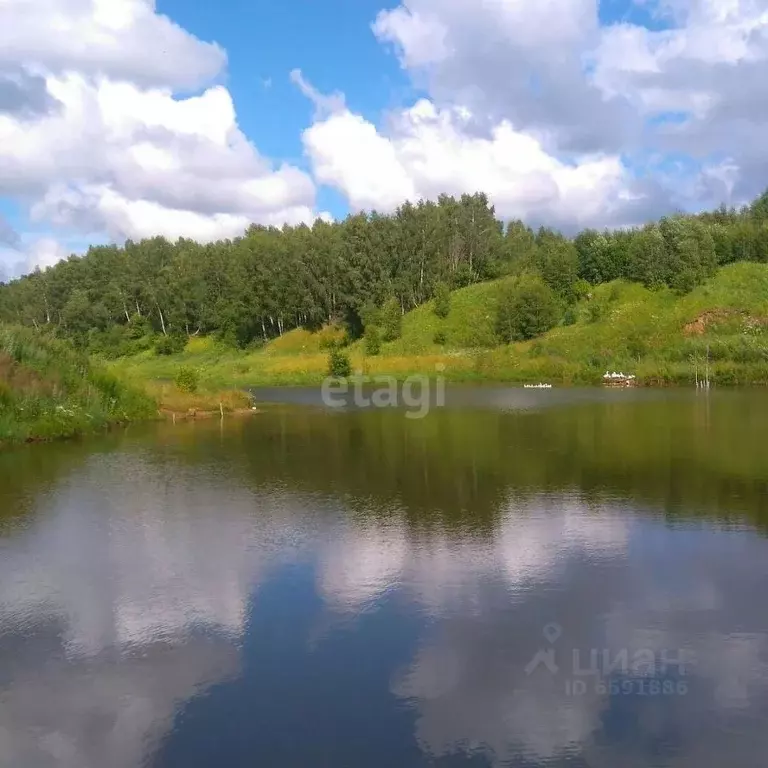 Участок в Тульская область, Дубенский район, Воскресенское ... - Фото 1