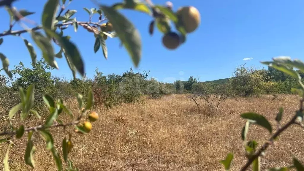 Участок в Крым, Кировский район, Старый Крым городское поселение ул. ... - Фото 1
