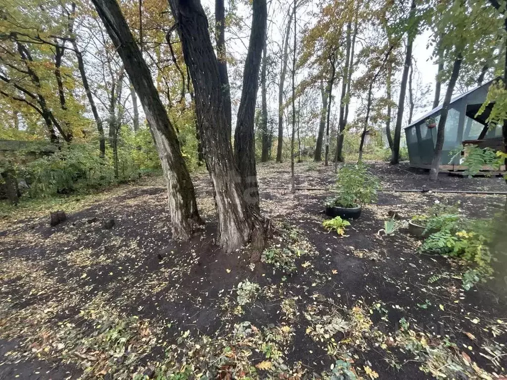 Дом в Белгородская область, Белгород Лимонник СТ, 19 (20 м) - Фото 1