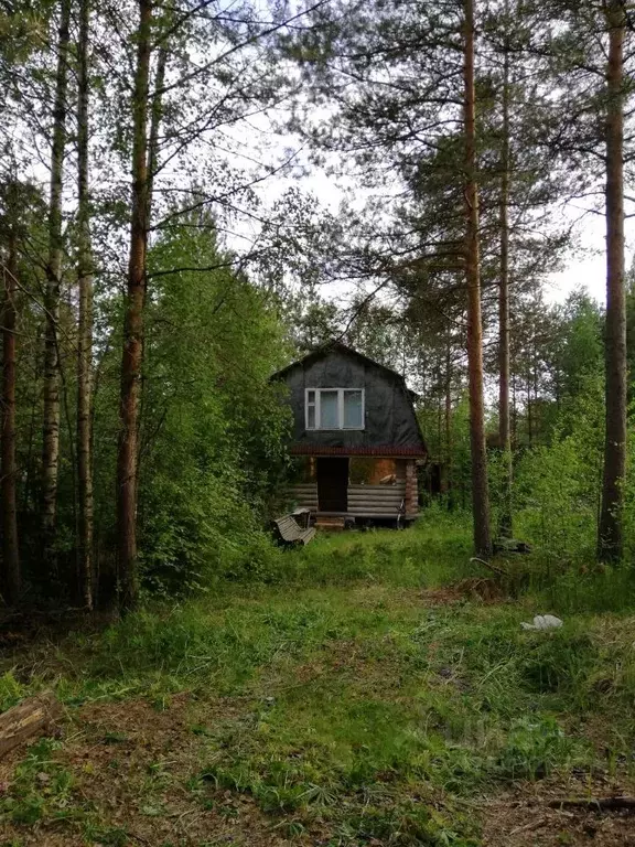 Дом в Ленинградская область, Выборгский район, Рощинское городское ... - Фото 2