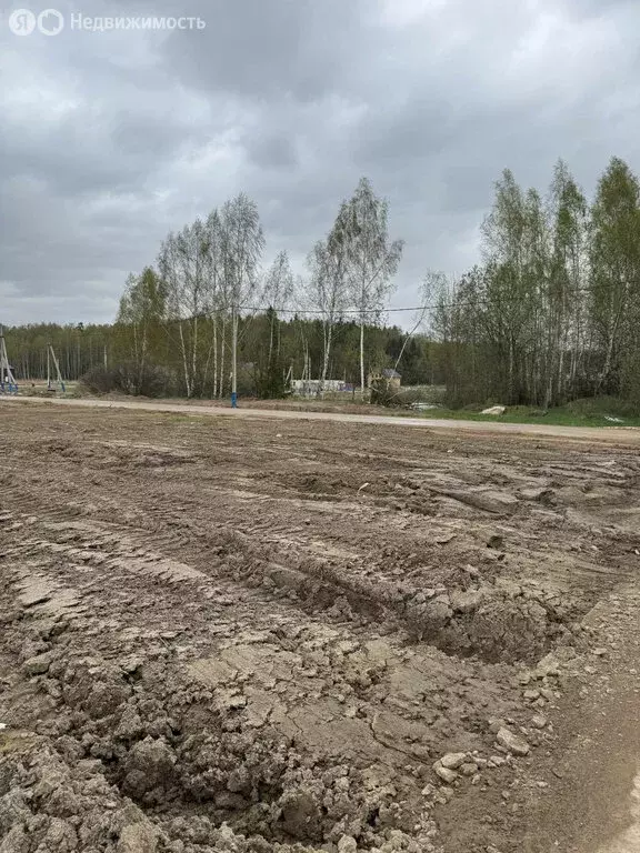 Участок в Московская область, городской округ Пушкинский, деревня ... - Фото 1