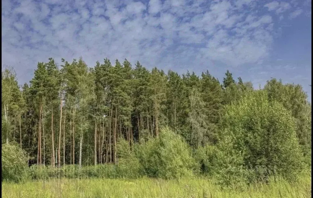 Участок в Московская область, Одинцовский городской округ, д. ... - Фото 1