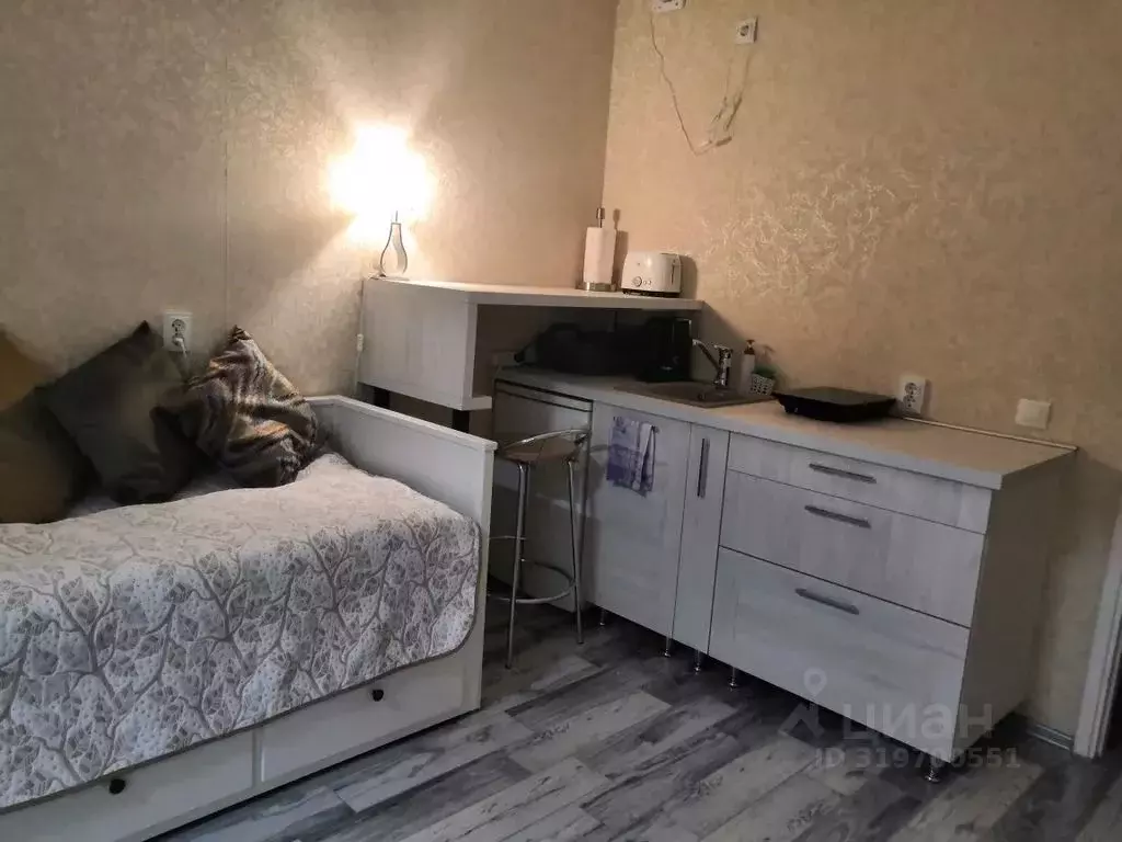 Студия Санкт-Петербург ул. Парфеновская, 9к1 (24.0 м) - Фото 2