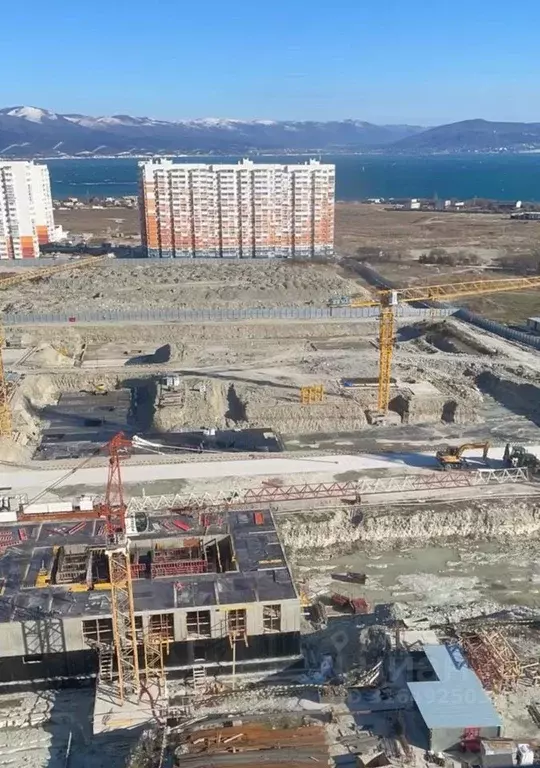 1-к кв. Краснодарский край, Новороссийск ул. Мурата Ахеджака, 22 (35.3 ... - Фото 0