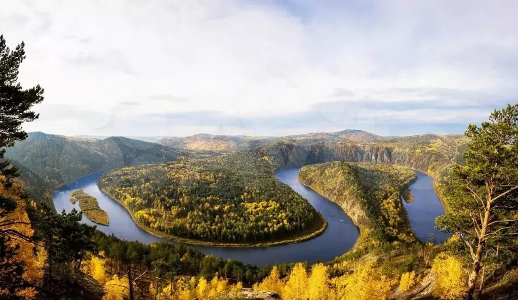 Участок 10 сот. (СНТ, ДНП) - Фото 0