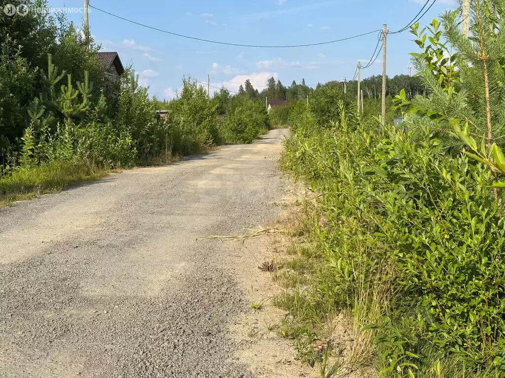 Участок в Петрозаводск, район Кукковка, территория Южная Кукковка, ... - Фото 1