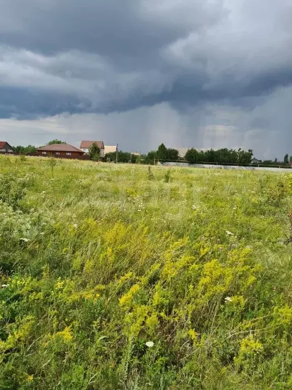 Участок в Воронежская область, Хохольский район, с. Гремячье ... - Фото 2