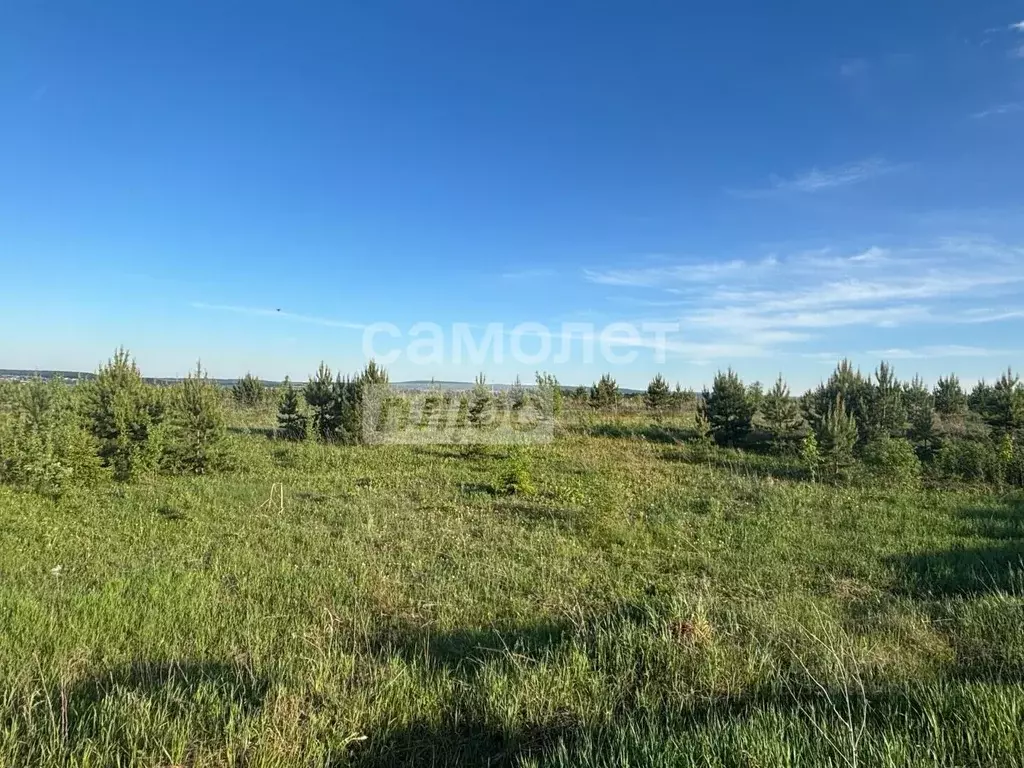 Участок в Пермский край, Пермский муниципальный округ, с. Култаево  ... - Фото 1