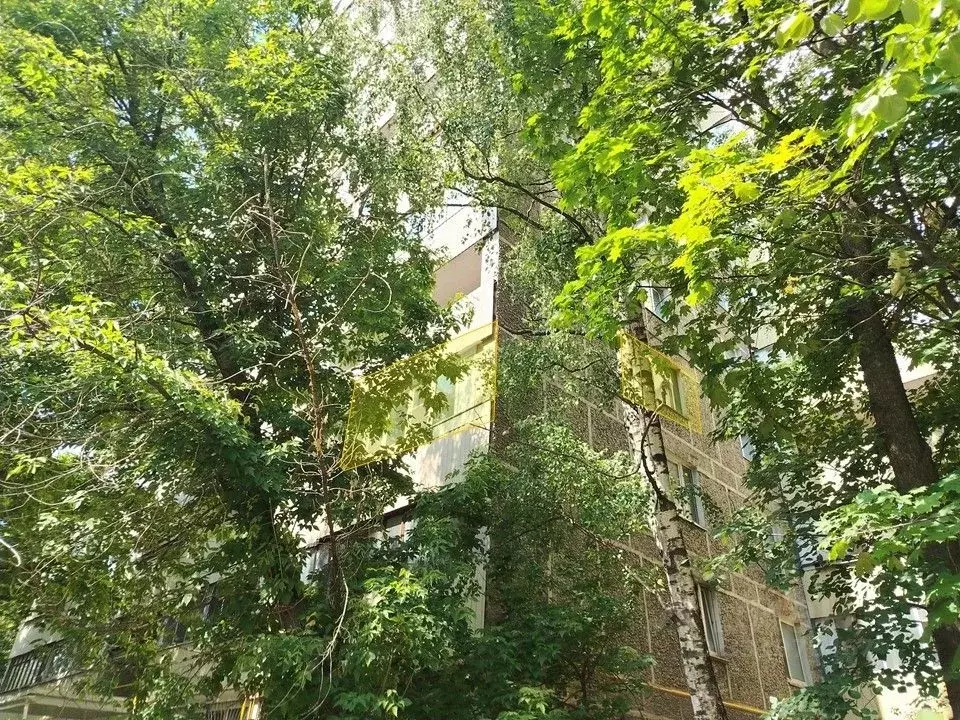 2-к кв. Москва Федеративный просп., 38К2 (37.8 м) - Фото 2