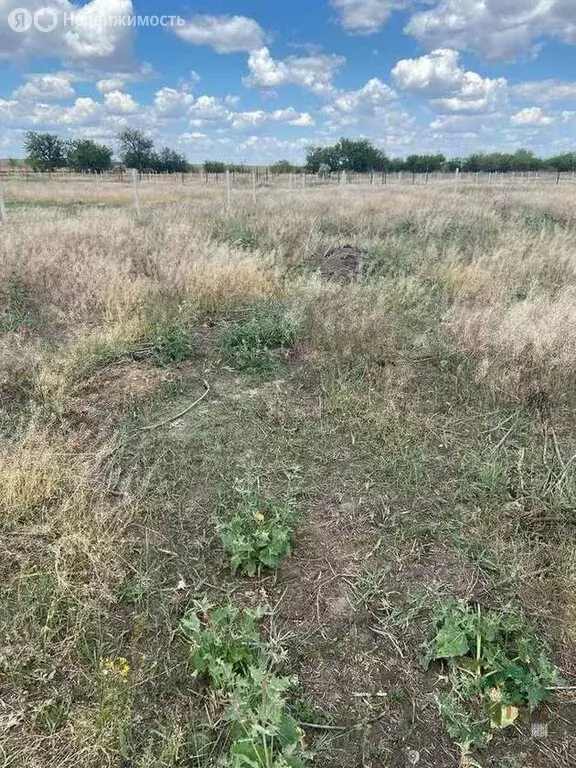 Участок в Приволжский район, Яксатовский сельсовет (6 м) - Фото 0