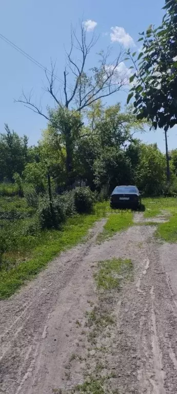 Участок в Челябинская область, Еткульский муниципальный округ, пос. ... - Фото 1